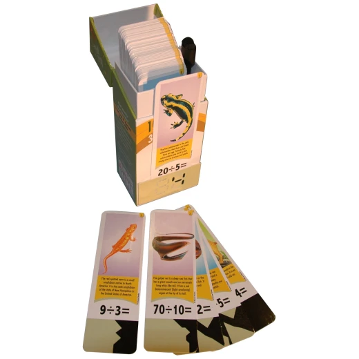Math Magic Division Flash Cards Educational Learning Game with Answers for Kids Math Magic Division Flash Cards Educational Learning Game with Answers for Kids