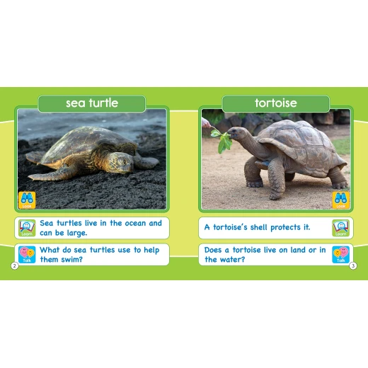 Look learn & talk scries:- Cold Creatures - 1 2 3 Publishing House - Image 4