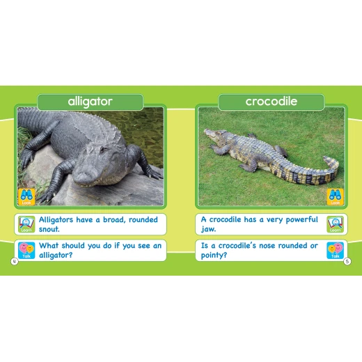 Look learn & talk scries:- Cold Creatures - 1 2 3 Publishing House - Image 2