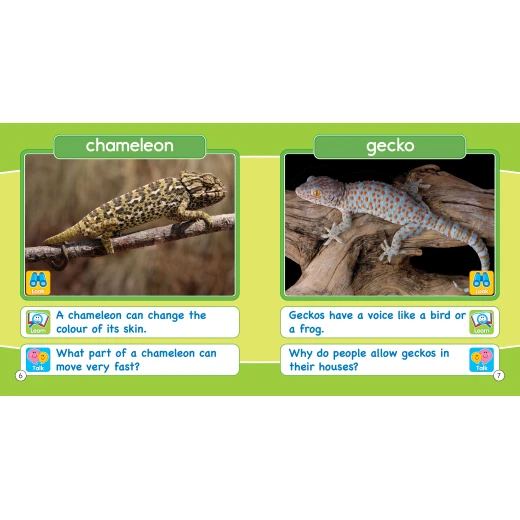 Look learn & talk scries:- Cold Creatures - 1 2 3 Publishing House - Image 3
