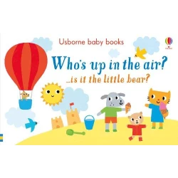 Usborne Who's up in the Air?