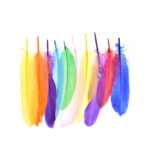Foska Colored feathers set Foska Colored feathers set