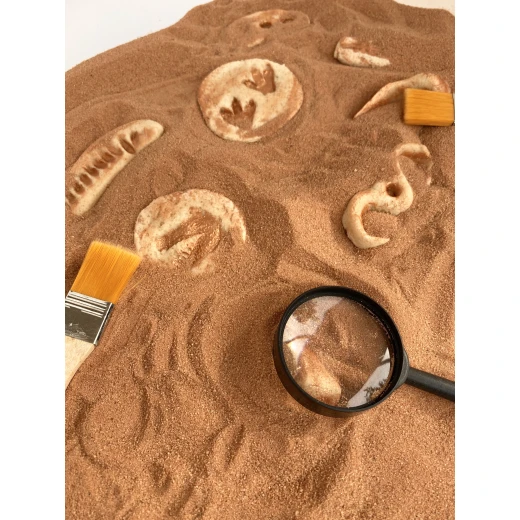 YIPPEE! Sensory Dinosaur Fossil Kit by Rahma - يببي - Image 5