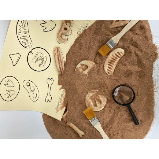 YIPPEE! Sensory Dinosaur Fossil Kit by Rahma - يببي - Image 3