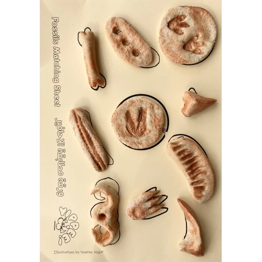 YIPPEE! Sensory Dinosaur Fossil Kit by Rahma - يببي - Image 4