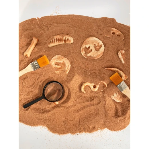 YIPPEE! Sensory Dinosaur Fossil Kit by Rahma - يببي - Image 2