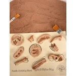 YIPPEE! Sensory Dinosaur Fossil Kit by Rahma - يببي