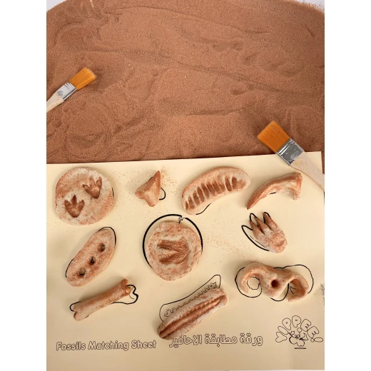 YIPPEE! Sensory Dinosaur Fossil Kit by Rahma YIPPEE! Sensory Dinosaur Fossil Kit by Rahma