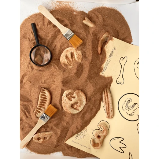 YIPPEE! Sensory Dinosaur Fossil Kit by Rahma - يببي - Image 6