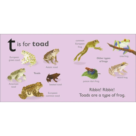 تي للضفدع من دي كي - كتب دي كاي - Image 3
