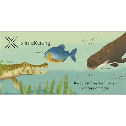 DK Book: X Is For X-ray Fish - DK Books - Image 3