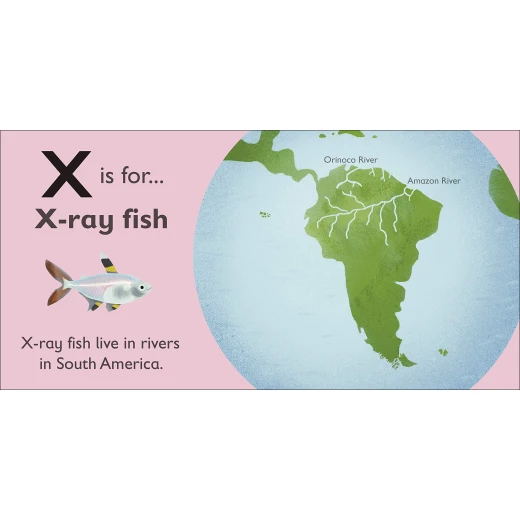 DK Book: X Is For X-ray Fish - DK Books - Image 4
