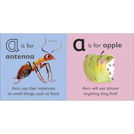 DK Book: A is for Ant - DK Books - Image 4
