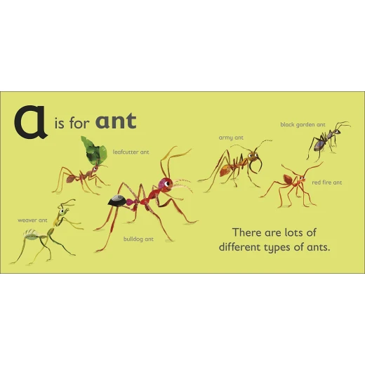 DK Book: A is for Ant - DK Books - Image 5
