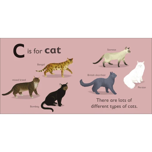 DK Books Publisher Book: ( C ) Is For Cat - DK Books - Image 2