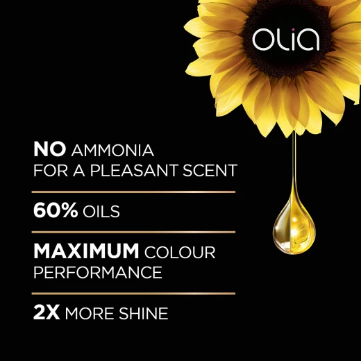 صبغة الشعر الخالية من الامونيا،اشقر رمادي مشرق، 10.1، 209 غ من غارنييه - غارنييه - Image 4