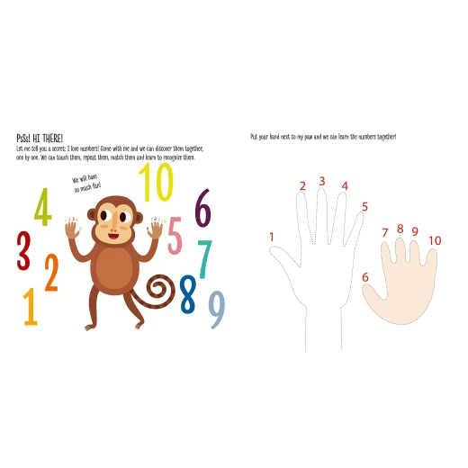 Dar Al Ma'arif Montessori My First Book of Numbers, English Version - Dar Al Ma'arif - Image 2