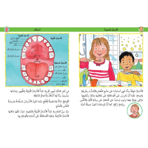 Jabal Amman Publishers Book: Teeth Health - Jabal Amman Publishers - Image 2