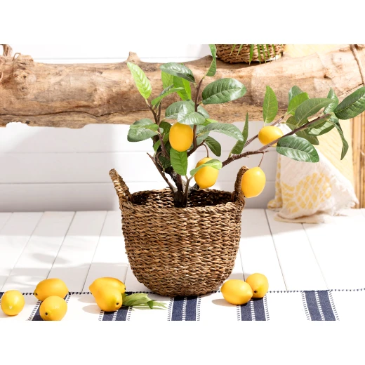 Madame Coco Dorise Medium Wicker Basket, 27x22 Cm - Madame COCO - Image 4