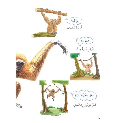 اسئلتي واجوبتي الاولى: القرود من دار المنهل - دار المنهل - Image 2