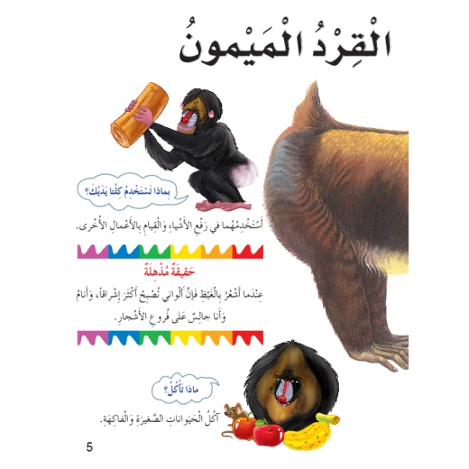اسئلتي واجوبتي الاولى: القرود من دار المنهل - دار المنهل - Image 3