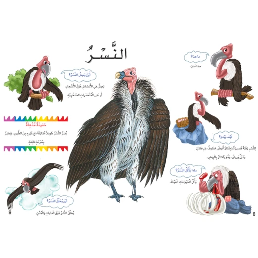 اسئلتي واجوبتي الاولى: الطيور من دار المنهل - دار المنهل - Image 2