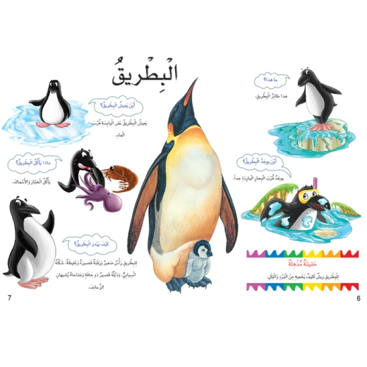 اسئلتي واجوبتي الاولى: الطيور من دار المنهل - دار المنهل - Image 4