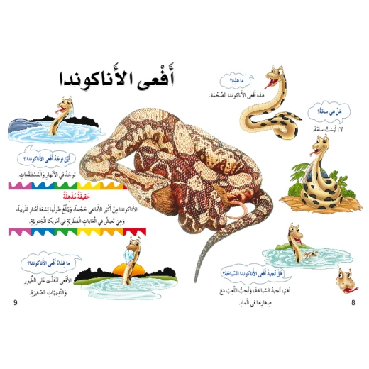 اسئلتي واجوبتي الاولى: الغابات المطرية من دار المنهل - دار المنهل - Image 2