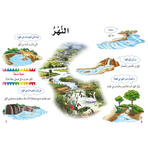 اسئلتي واجوبتي الاولى: الغابات المطرية من دار المنهل - دار المنهل - Image 3