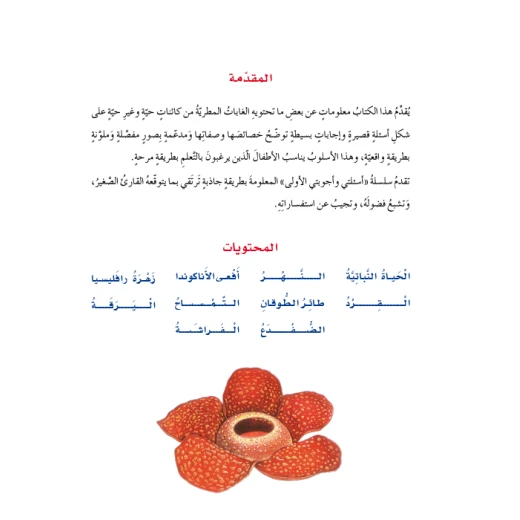 اسئلتي واجوبتي الاولى: الغابات المطرية من دار المنهل - دار المنهل - Image 4
