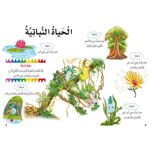 اسئلتي واجوبتي الاولى: الغابات المطرية من دار المنهل - دار المنهل - Image 5
