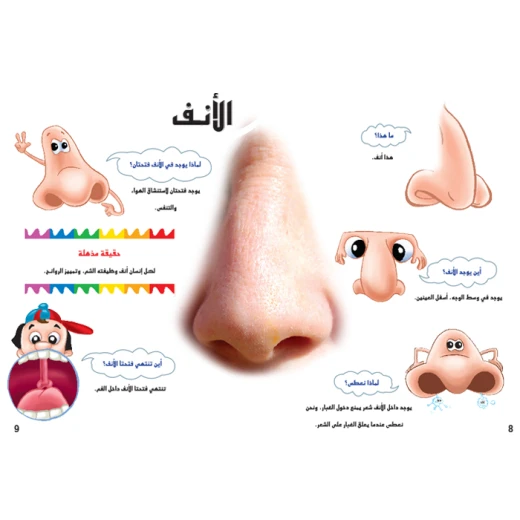 اسئلتي واجوبتي الاولى: جسم الانسان من دار المنهل - دار المنهل - Image 3