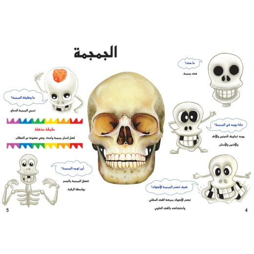 اسئلتي واجوبتي الاولى: جسم الانسان من دار المنهل - دار المنهل - Image 5