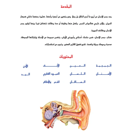 اسئلتي واجوبتي الاولى: جسم الانسان من دار المنهل - دار المنهل - Image 6