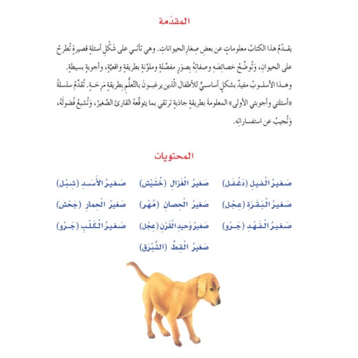 Dar Al Manhal My First Questions And Answers: Small Animals - Dar Al Manhal - Image 3