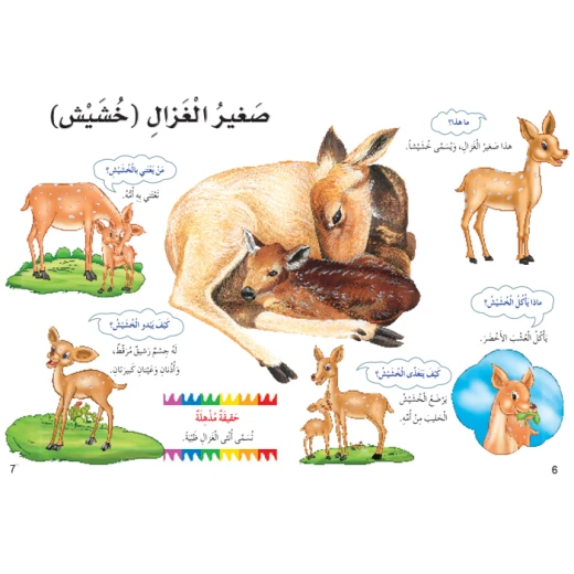 Dar Al Manhal My First Questions And Answers: Small Animals - Dar Al Manhal - Image 4
