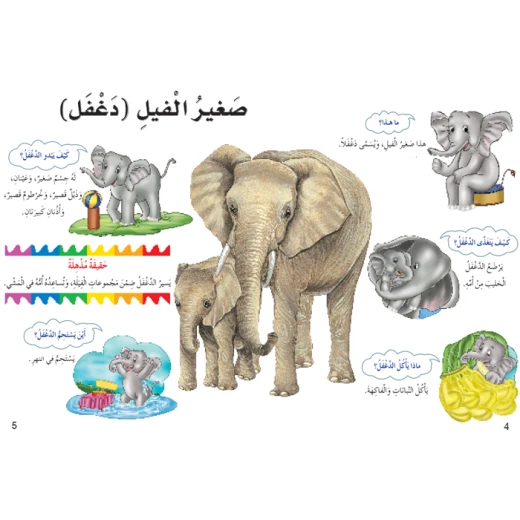 Dar Al Manhal My First Questions And Answers: Small Animals - Dar Al Manhal - Image 2