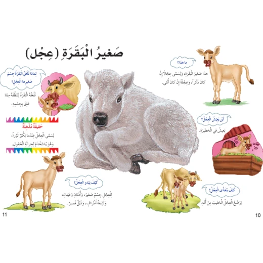 Dar Al Manhal My First Questions And Answers: Small Animals - Dar Al Manhal - Image 6