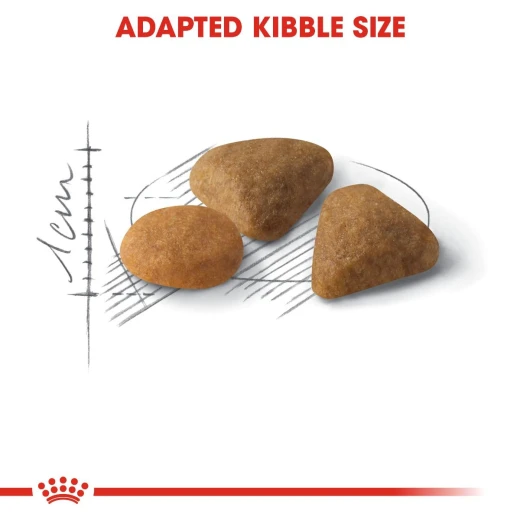 Royal Canin Exigent Cats Food, 400 Gram - Royal Canin - Image 2