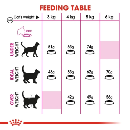 Royal Canin Exigent Cats Food, 400 Gram - Royal Canin - Image 4