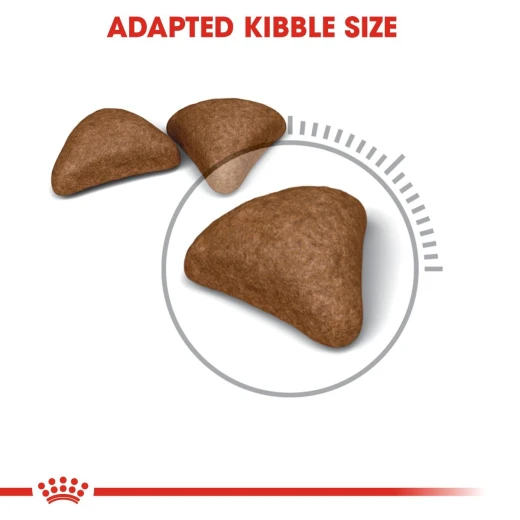 Royal Canin Cat Food For Hairball Care, 400Gm - Royal Canin - Image 7