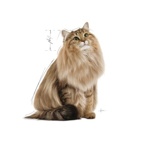 Royal Canin Ultra Light Gravy Cat Wet Food - Royal Canin - Image 6