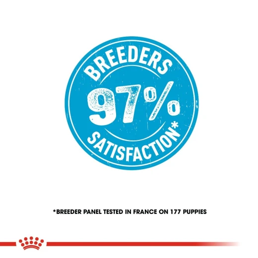 Royal Canin Shn Mini Starter, Dog Food, 1 Kg - Royal Canin - Image 2