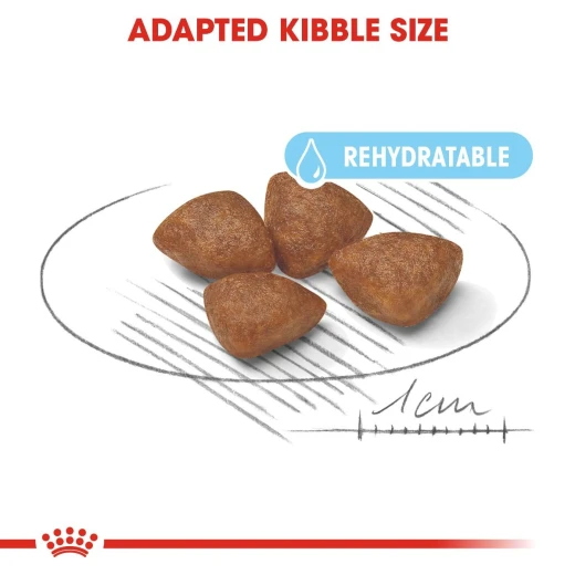 Royal Canin Shn Mini Starter, Dog Food, 1 Kg - Royal Canin - Image 4
