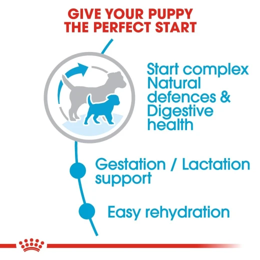 Royal Canin Shn Mini Starter, Dog Food, 1 Kg - Royal Canin - Image 6