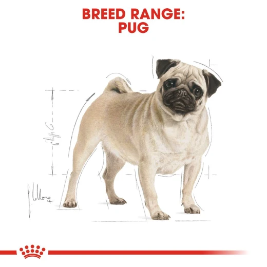 Royal Canin Pug Adult Dog Food, 1.5 Kg - Royal Canin - Image 3