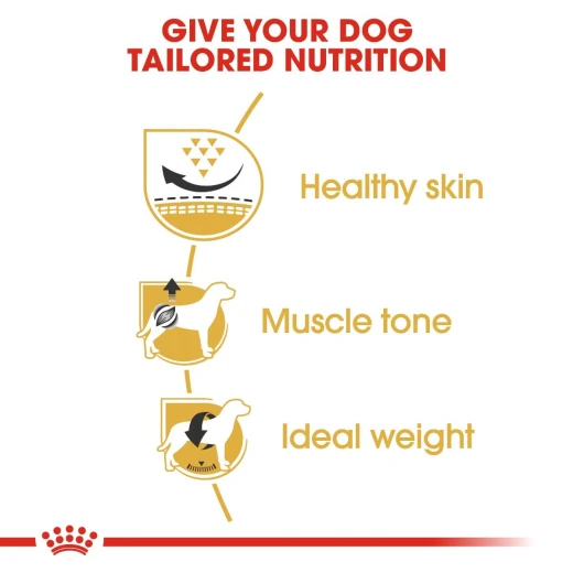 Royal Canin Pug Adult Dog Food, 1.5 Kg - Royal Canin - Image 4