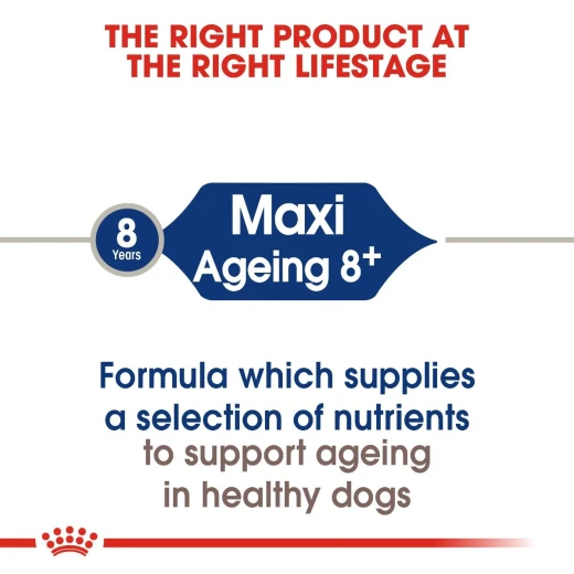 Royal Canin Maxi Food For Dogs Ageing 8+, 15 Kg - Royal Canin - Image 3