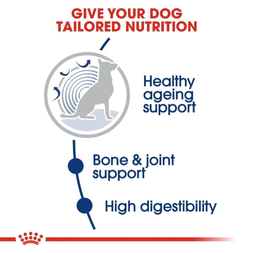 Royal Canin Maxi Food For Dogs Ageing 8+, 15 Kg - Royal Canin - Image 4