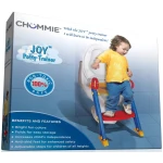 Potty Training Seat With Ladder